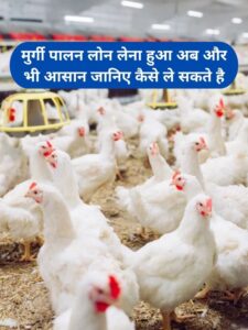 Poultry Farming Loan Apply Online