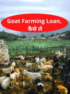 goat farming loan apply online (1)