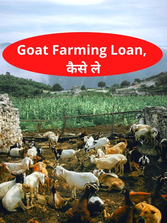 Goat Farming Loan, कैसे ले