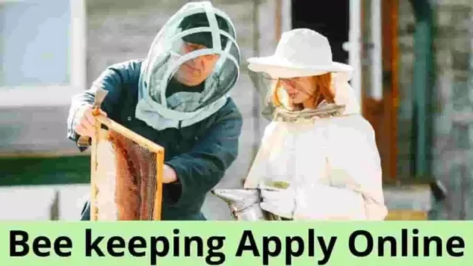 Bee keeping Apply Online