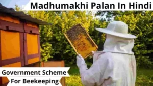 Government Schemes For Beekeeping