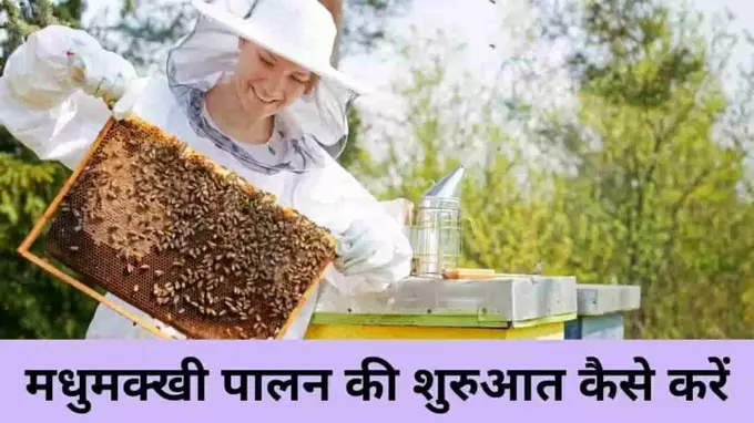 How To Start Beekeeping