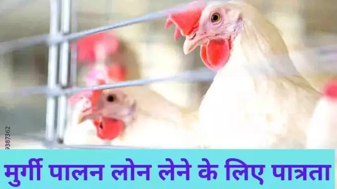 Mudra Loan Eligibility For Poultry Farm